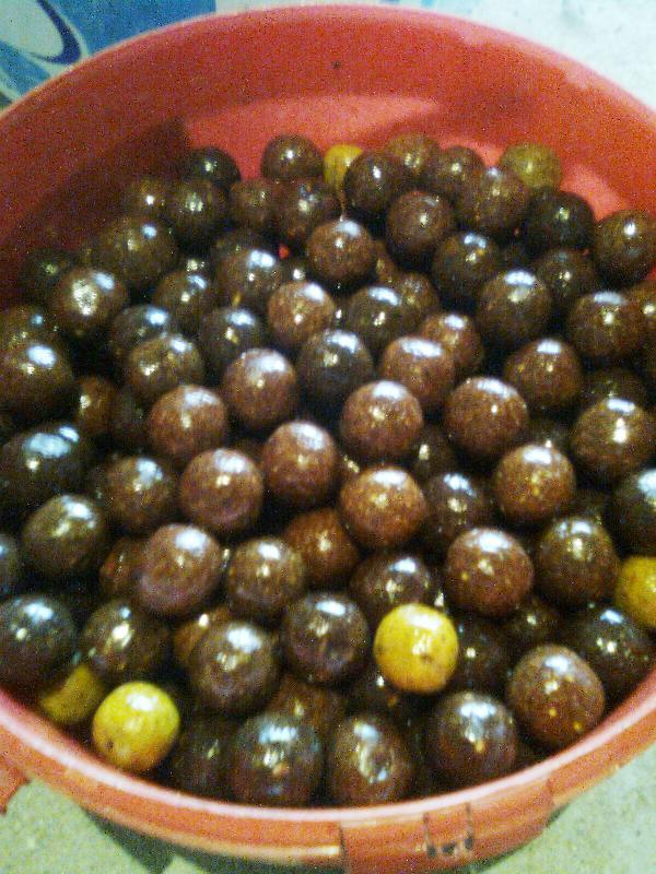 pentru delta - imagine0205.jpg